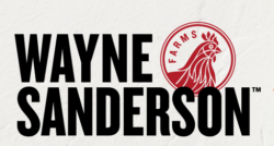 Wayne Sanderson logo