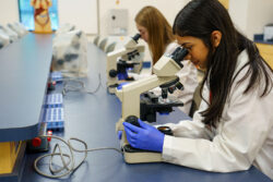 Medical Assisting students using microscopes to view blood